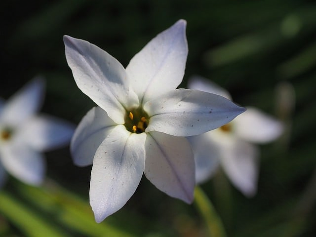 天蝎女和射手男配对指数为什么总让人又爱又怕星语顾问纪衡说透相处关键