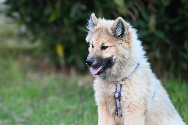 被误解一千年的道可道非常道名可名非常名全篇：反差感爆棚的实用人生说明书