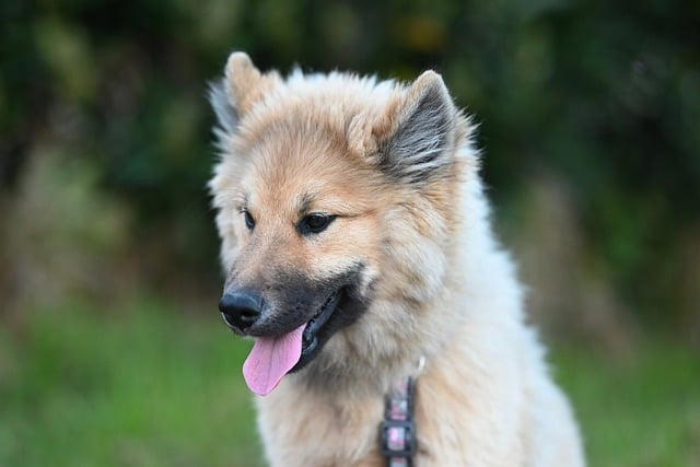 从好听到致命:揭秘“毒药名字好听又致命的毒药”背后的危险美学