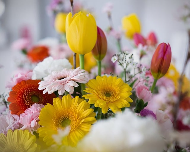 一眼心动的惊喜感,蛋仔好听稀少的名字全在这篇里了