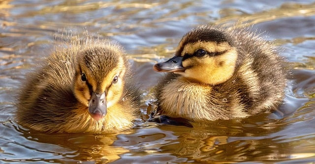一眼就很有贵气福气的微信名，原来都“藏”着这几层深意