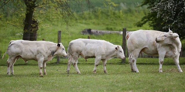 让人一听就心动的三个字独特好听名字大全（含实用取名思路）