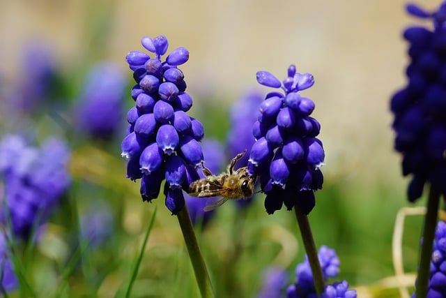 抓住惊艳第一眼：5个字好听稀少的名字私藏清单大公开