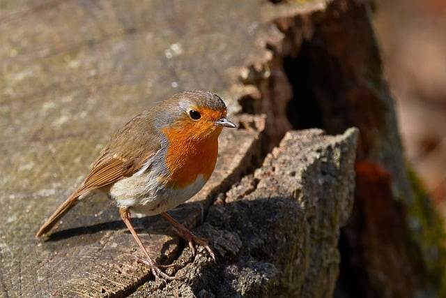 看完会安心很多的十二星座运势：这周真正该注意的，不是好运而是节奏