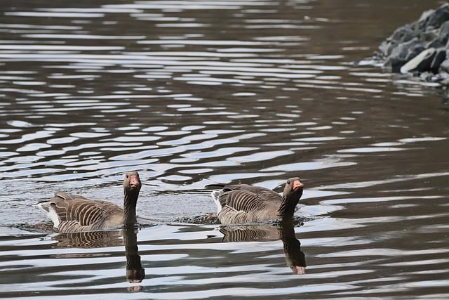 一眼就让他心动的细节：给男朋友的备注特别的昵称，这招太上头了