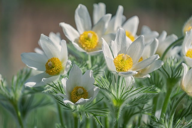 一眼心动的好听的冰雪系名字：冷艳又温柔的取名干货指南