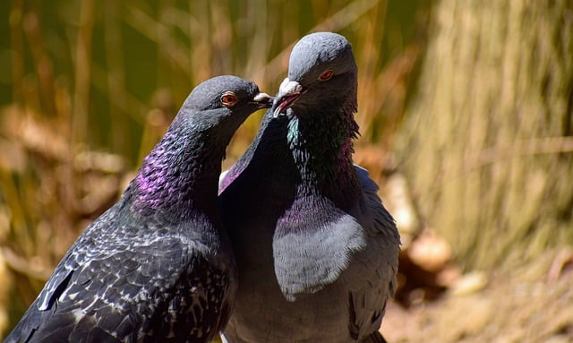 心理咨询师写给你的十二星座性格特点：不是贴标签，而是看清自己与他人的相处密码
