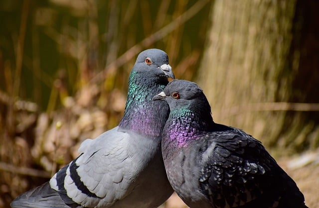 让人一眼心动的二个字独特好听名字男生网名，这份清单有点上头