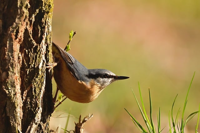 个体农资店取名字大全：避坑经验、爆款名字思路一次说透
